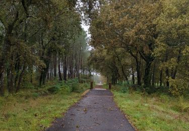 Tocht Stappen Labouheyre - Labouheyre Aureilhan  - Photo