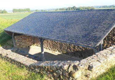 Excursión Senderismo Brissac-Loire-Aubance - St Rémy la Varenne grand tour - Photo