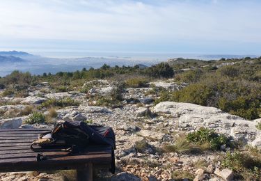 Trail Electric bike Marseille - Garlaban VTT ÉLECTRIQUE 12 DÉCEMBRE 2022 - Photo