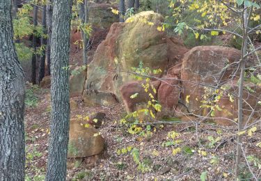 Tocht Stappen Roussillon - Roussillon  - Photo