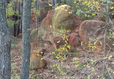 Trail Walking Roussillon - Roussillon  - Photo