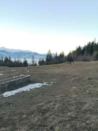 Excursión Senderismo Arbaz - la sionne  - Photo