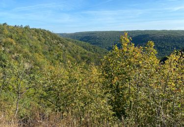 Trail Walking Étaules - Etaule - Photo