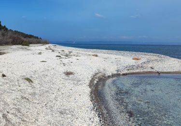 Trail Walking Martigues - figuerolles. Jacky.anorak - Photo