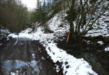 Excursión Senderismo Comblain-au-Pont - RB-Lg-11 - Sur les crêtes de l’Amblève - Photo