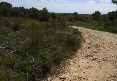 Trail Walking Montagnac - Montagnac balade vigneronnr - Photo