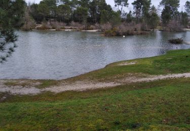 Tour Wandern Léognan - lac bleu - Photo