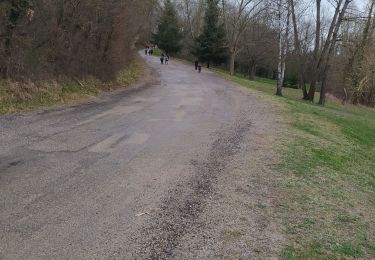 Tour Wandern Saint-Georges-d'Espéranche - rando 20220313 - Photo