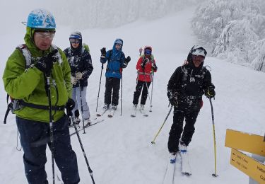 Trail Touring skiing Saint-Christophe-sur-Guiers - la morte - Photo