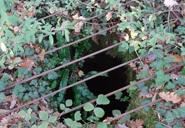 Tour Wandern Bunzac - BUNZAC 16110 ..départ de Puy cocu > combebrune > les Denis > le château des deffends - Photo