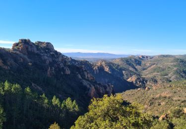 Trail Walking Fréjus - Grotte - Photo