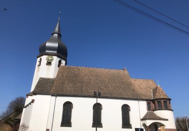 Tour Wandern Sessenheim - 2022-03-27-Sessenheim-le sentier de Goethe - Photo