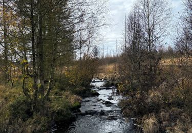 Trail Walking Waimes - Baraque Michel & Bottange - Photo