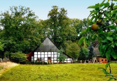 Tocht Te voet Oerlinghausen - A6 - Oerlinghausen - Photo