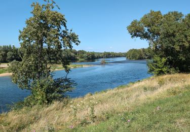 Tour Wandern Saint-Genouph - Saint-Genouph - PR Sentier des Varennes - 7.7km 30m 2h15 - 2025 08 09 - Photo