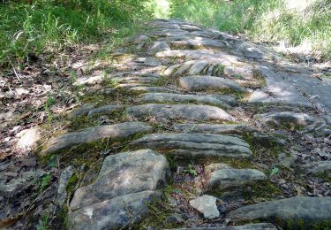 Tour Zu Fuß Chiusi della Verna - La Via Romea e la Valle dell'Archiano - Photo