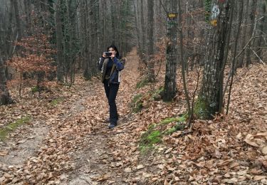 Tour Wandern Saint-Laurent-de-Cerdans - St laurent de cerdans - Photo