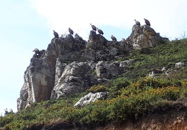 Tocht Te voet Urepel - Urepelbide zaharra / Antiguo Camino Urepel - Photo