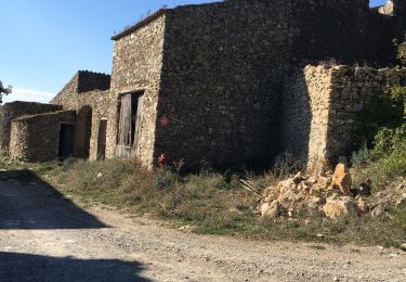 Tour Wandern Puéchabon - Balcons de l’Herault - Photo