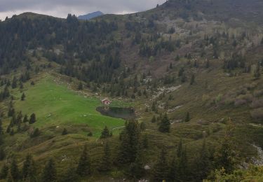 Trail Walking Le Haut-Bréda - 02 juin 2023 glezin - Photo