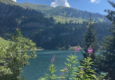 Tour Wandern Beaufort - St guerin - Arêches via l alpage - Photo