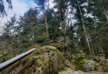 Trail Walking Thiéfosse - gorges de Crosery  - Photo