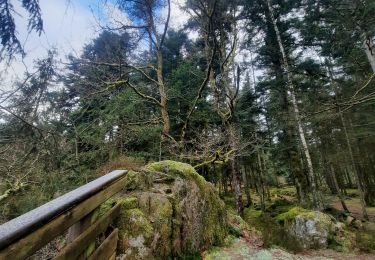 Tour Wandern Thiéfosse - gorges de Crosery  - Photo