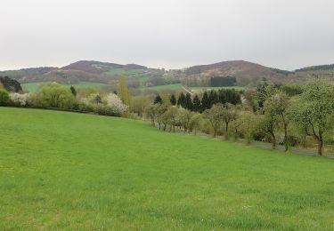 Tour Zu Fuß Künzell-Bachrain - Dietershausen Rundweg 6 - Photo