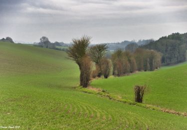 Randonnée Marche La Gaudaine - La Gaudaine - les panoramas 12 km - Photo