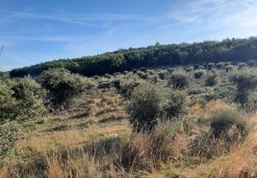 Trail Walking La Touche - Colombier Citelles  10km. - Photo