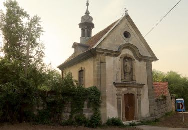 Tocht Te voet Stettfeld - Rundwanderweg Fasan Stettfeld - Photo