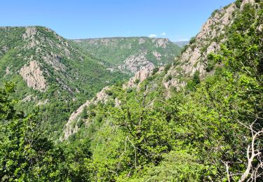Tocht Stappen Prévenchères - Garde Guérin /Gorges du chassezac - Photo