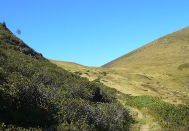 Tour Zu Fuß Bordères-Louron - Lac de Bareilles et Mont Né - Photo