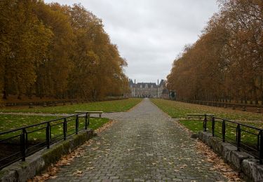 Percorso A piedi Moigny-sur-École - Chemin des Grés et des Bruyères - Photo