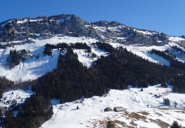 Excursión Raquetas de nieve Bellecombe-en-Bauges - 2022-01-28 Raquettes Crêt du Char - Photo