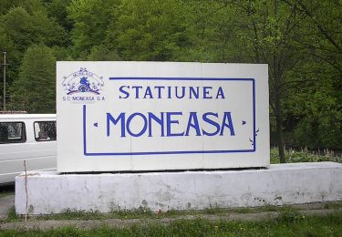 Percorso A piedi  - Moneasa – Valea Lunga – Câmp Moti – Vascau – Varzarii de Sus – Baita - Photo