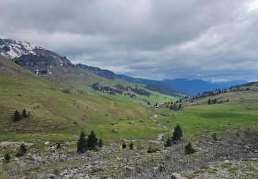 Percorso Mountainbike Le Grand-Bornand - Maroly - Colombière - Photo