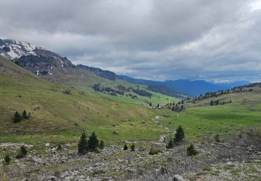 Trail Mountain bike Le Grand-Bornand - Maroly - Colombière - Photo