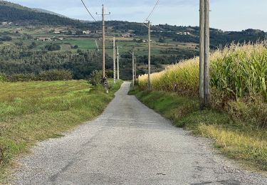 Randonnée A pied Colombier-le-Vieux - Randonnée : Les Gorges de la Daronne - Photo