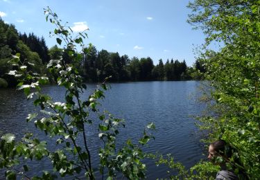 Excursión Senderismo Girmont-Val-d'Ajol - Etang Villerain-la Beuille-Etang Mollière 17-05-20 - Photo