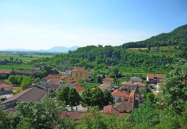 Percorso A piedi Castegnero - Sentiero del Monte delle Rose - Photo