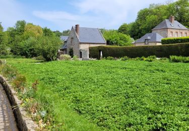 Excursión Senderismo Veules-les-Roses - Veules les roses par son fleuve  - Photo