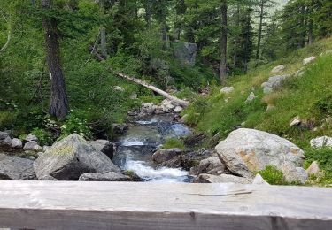 Tocht Stappen Saint-Martin-Vésubie - Lac Negre - Photo