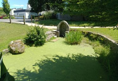 Tour Wandern Pont-l'Abbé - PONT L'ABBÉ / LOCTUDY  - Photo