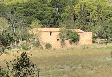 Tour Wandern Begur - Begur randonnée rouge gr22 - Photo