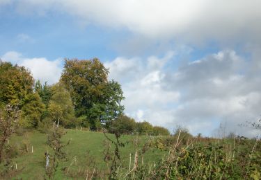 Tour Wandern Saint-Aubin-Épinay - 20221102-Epinay - Photo