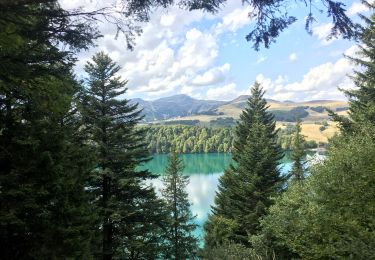 Trail Walking La Bourboule - gr30 tour des volcans et lacs d auvergne puy de dome - Photo