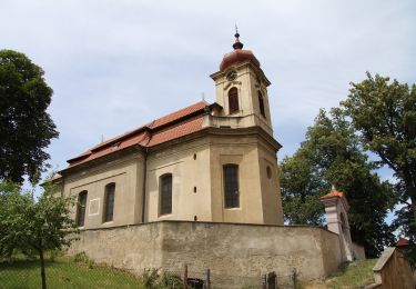 Trail On foot Jince - Naučná stezka Z Jinec na Olymp Brd - Photo