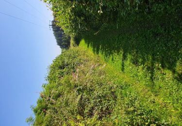 Trail On foot Stoumont - petite boucle sur Rahier - Photo
