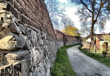 Trail On foot  - Szlak Wzgórz Morenowych - Photo